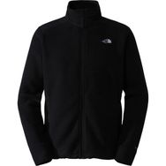 The North Face NF0A7WWL4HF1 Alpine Polartec 200 FZ Siyah Erkek Ceket