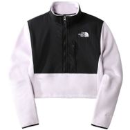 The North Face NF0A7WXY6S11 Mor Kadın Sweatshirt