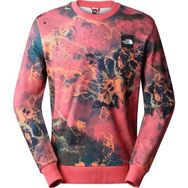 The North Face NF0A8238IOC1 Renkli M Summer Logo Crew Erkek Günlük Sweatshirts