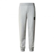 The North Face NF0A827GDYX1 M Fıne Pant Gri Erkek Pantolon