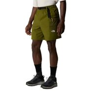 The North Face NF0A86QJPIB1 Yeşil Erkek Şort