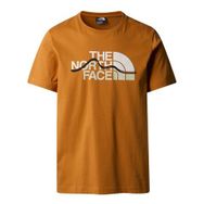 The North Face NF0A87NTPCO1 M S/s Mountaın Lıne Tee Kahverengi Erkek T-shirt