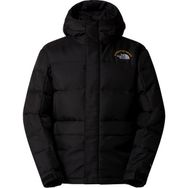 The North Face NF0A88XEJK31 Siyah M HMLYN 30 Anniversary Parka Erkek Outdoor Montu