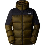 The North Face NF0A899290I1 Dıablo Down 2.0 Yeşil Kapüşonlu Erkek Sweatshirt