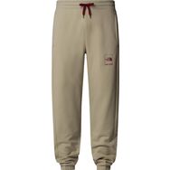 The North Face NF0A89DB1I41 Gri Coordinates Erkek Pantolon