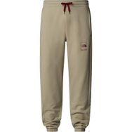 The North Face NF0A89DB1I41 Gri Erkek Coordınates Pantolon