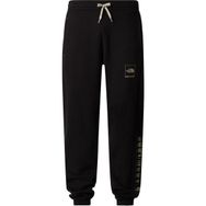 The North Face NF0A89DBJK31 Siyah Erkek Coordınates Pantolon