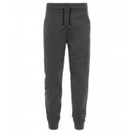 The North Face Nse Lıght Erkek Pantolon