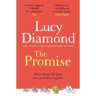 The Promise - Walker Books