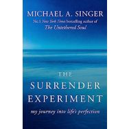 The Surrender Experiment: My Journey into Life's Perfection