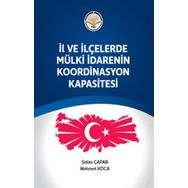 Tiav İl ve ilçelerde Mülki İdarenin Koordinasyon Kapasitesi