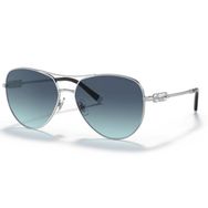 Tiffany & Co. 0TF3083B 60019S59 Kadın Güneş Gözlüğü