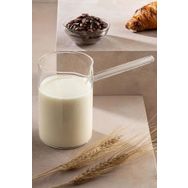 Tohana Cam Cezve 400 Ml. Sapli Borosiklat Cezve