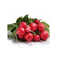 Tohhum 100+ Kırmızı Turp Adet Tohum