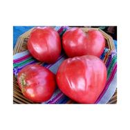 Tohhum 15 Pembe Kalp Domates Pink Oxheart Tohumu