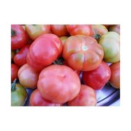 Tohhum 25+ Adet Yerli Marmande Domatesi Tohumu