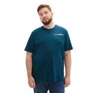 Tom Tailor 21179 Deep Pond Green Erkek T-shirt