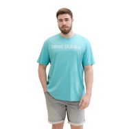 Tom Tailor 35272 Basic Baskılı Çayır Camgöbeği Erkek T-shirt