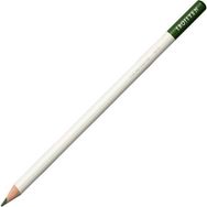 Tombow Irojıten Cactus Green Kuru Boya Kalemi