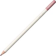 Tombow Irojıten Fawn Kuru Boya Kalemi