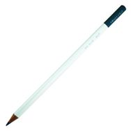 Tombow Irojıten Jay Blue Kuru Boya Kalemi