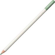 Tombow Irojıten Mist Green Kuru Boya Kalemi
