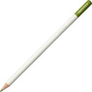 Tombow Irojıten Moss Green Kuru Boya Kalemi