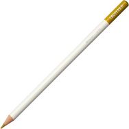 Tombow Irojıten Mustard Kuru Boya Kalemi