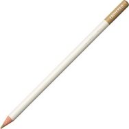 Tombow Irojıten Oil Yellow Kuru Boya Kalemi