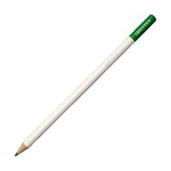 Tombow Irojıten Parrot Green Kuru Boya Kalemi