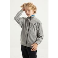 Tommy Life 11012 Gri Melanj Basic Dik Yaka Standart Kalıp Nakış Detaylı Fermuarlı Erkek Çocuk Sweatshirt