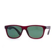 Toms Teddy TT6003-2C505M Unisex Güneş Gözlüğü