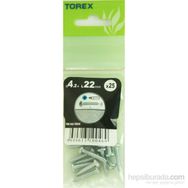 Torex DIN 7981 4.2x22 mm 25li YSB Sac Vidası