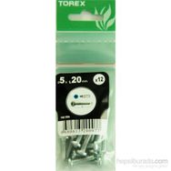 Torex DIN 7985 5x20 mm 12li YSB Vida