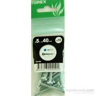 Torex DIN 7985 5x40 mm 10lu YSB Vida
