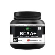 Torq Nutrition 500 gr Orman Meyveli BCAA 2:1:1