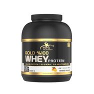 Torq Nutrition Mango Aromalı 2300 gr Gold Whey Protein