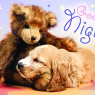Trefl Good Night 60 Parça Puzzle