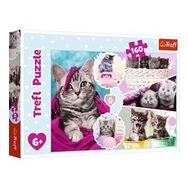 Trefl Lovely Kittens 160 Parça Puzzle
