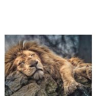 Trefl Sleeping Lion 1000 Parça Puzzle