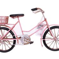 Trendypazar El Yapımı Pembe Bisiklet Maketi