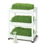 Tribest Sproutman’s Topraksız Buğday Çimi Yetiştiricisi