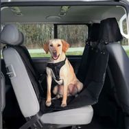 Trixie 1,45x1 60 m Köpek İçin Arka Koltuk Örtüsü
