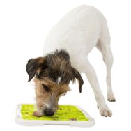 Trixie 20x20 cm Plate Köpek Ödül Oyuncağı