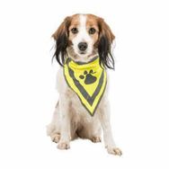 Trixie 22-28 cm Small Köpek Bandanalı Tasma