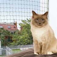 Trixie 44323 4x3 m Transparan Kedi Cam Koruma Ağı