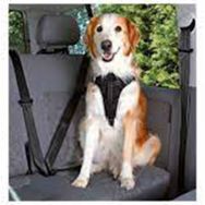 Trixie M:50-65 cm 20 mm Siyah Köpek Emniyet Kemeri ve Göğüs Tasması