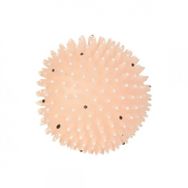 Trixie Vinyl 10 cm Oyun Topu Köpek Oyuncağı