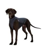 Trixie Xsmall Haşere Kovucu Köpek Kıyafeti