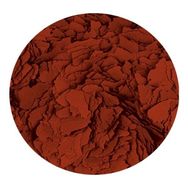 Tropical Astacolor 100 gr Açık Balık Yemi